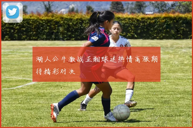 湖人公牛激战正酣球迷热情高涨期待精彩对决