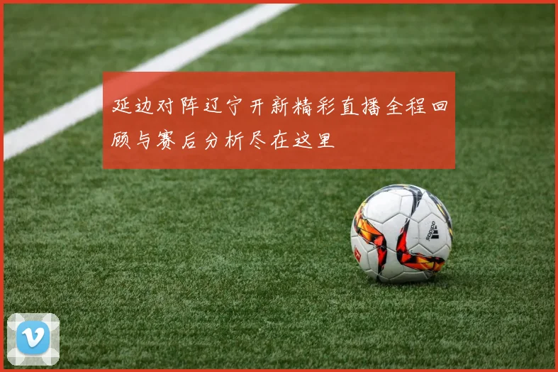 延边对阵辽宁开新精彩直播全程回顾与赛后分析尽在这里