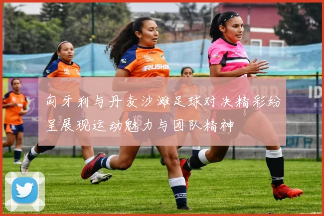 匈牙利与丹麦沙滩足球对决精彩纷呈展现运动魅力与团队精神
