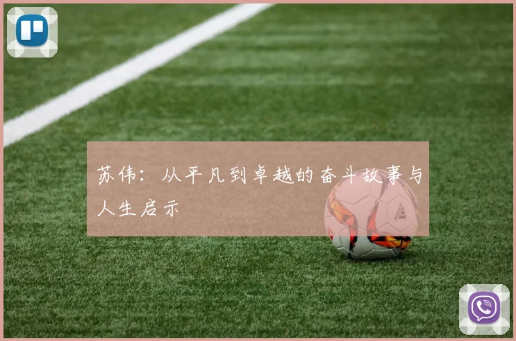 苏伟：从平凡到卓越的奋斗故事与人生启示